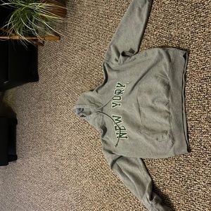 Brandy Melville Oversized New York Hoodie
